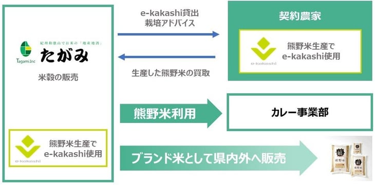 たがみ