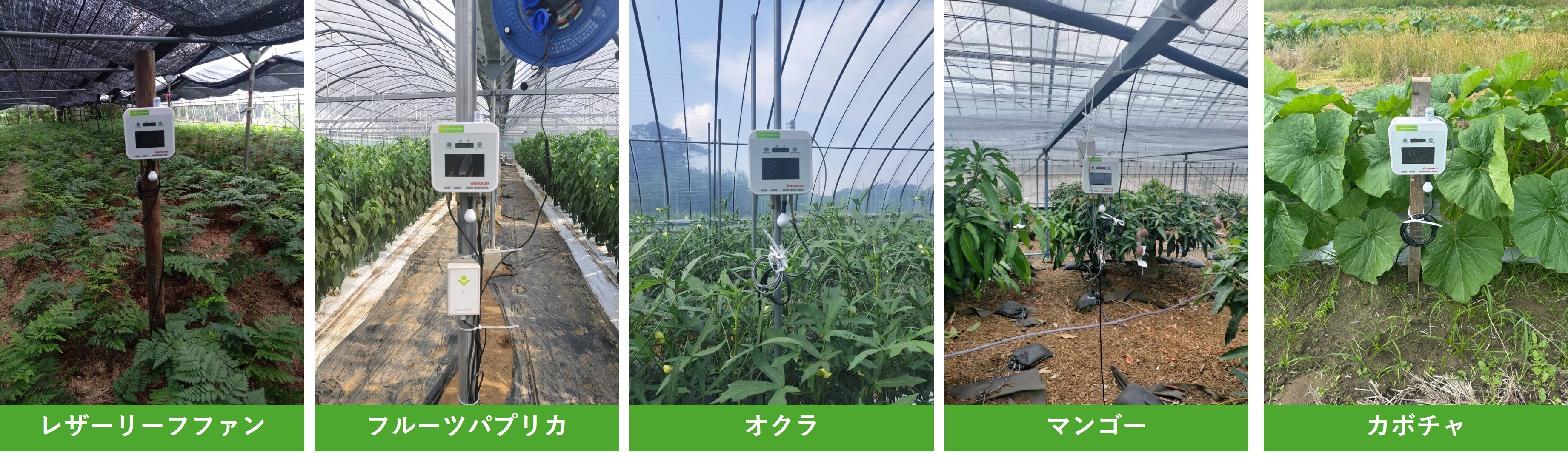 南種子町 IoT センシング機器設置の圃場