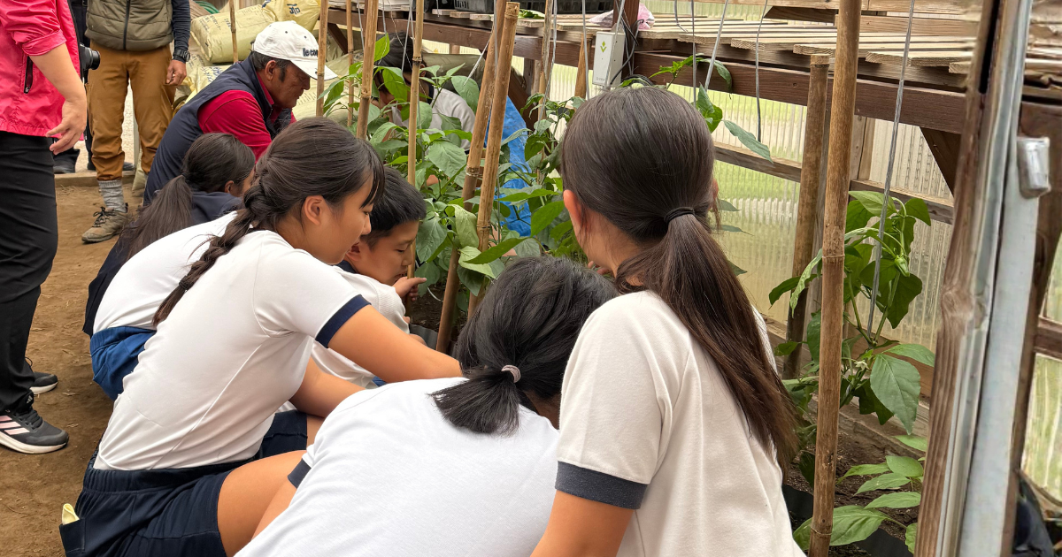 2-Dec-13-2025-01-21-10-5675-PM