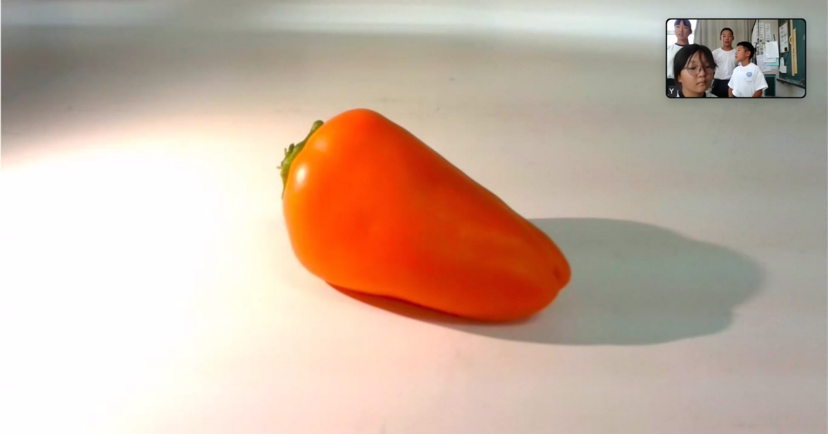 2-Nov-01-2025-08-05-36-0987-AM