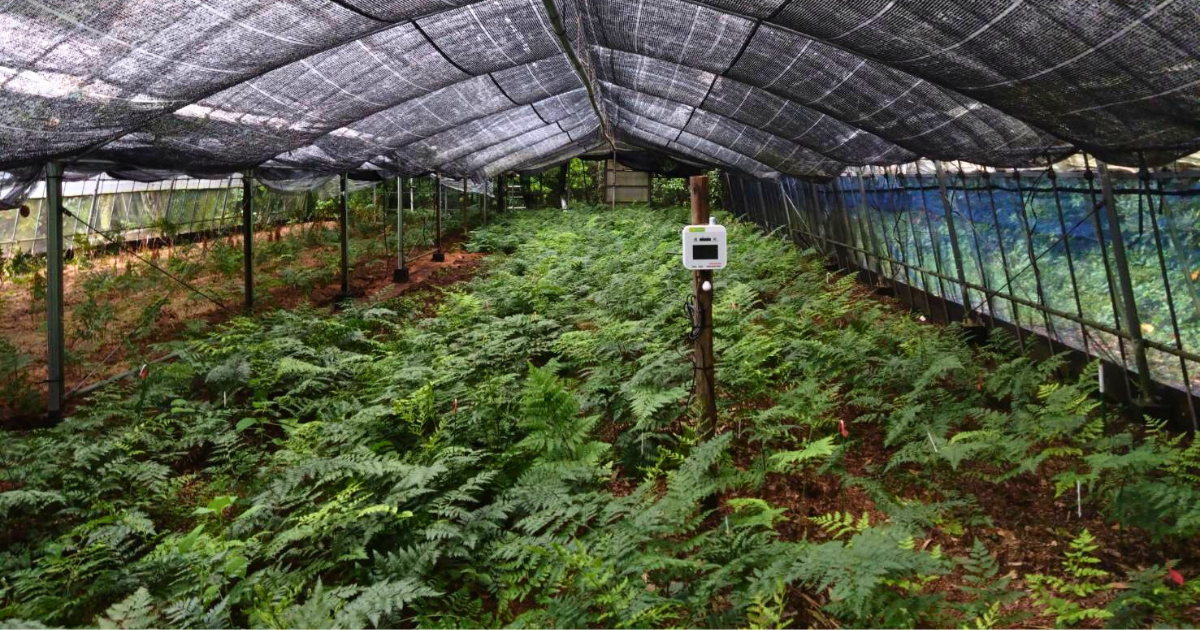 3-Dec-12-2025-02-58-56-3678-PM