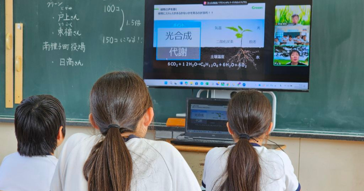 3-Nov-01-2025-08-05-37-0114-AM