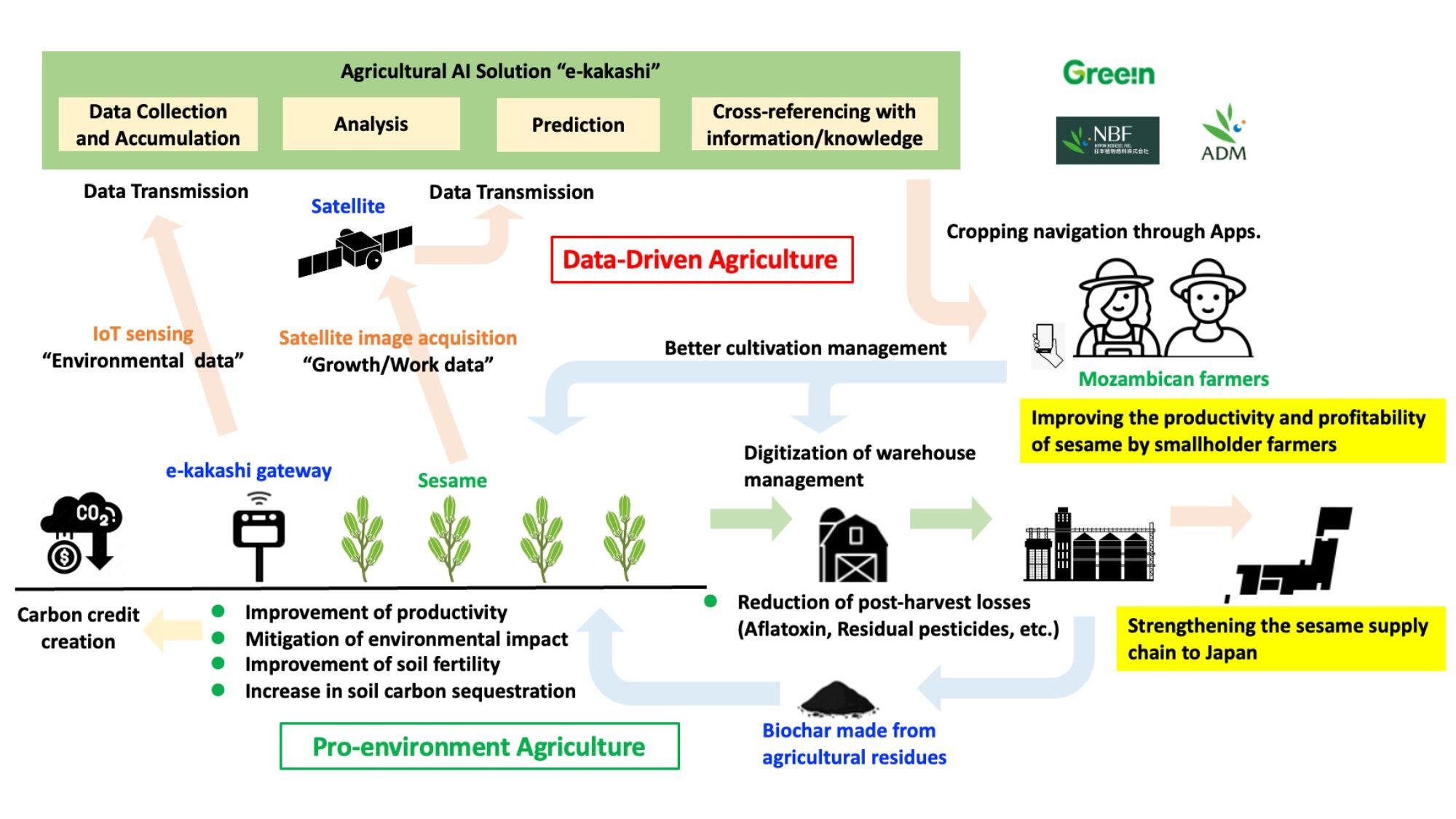 Image of pro-environment sesame value chain digitization in Mozambique