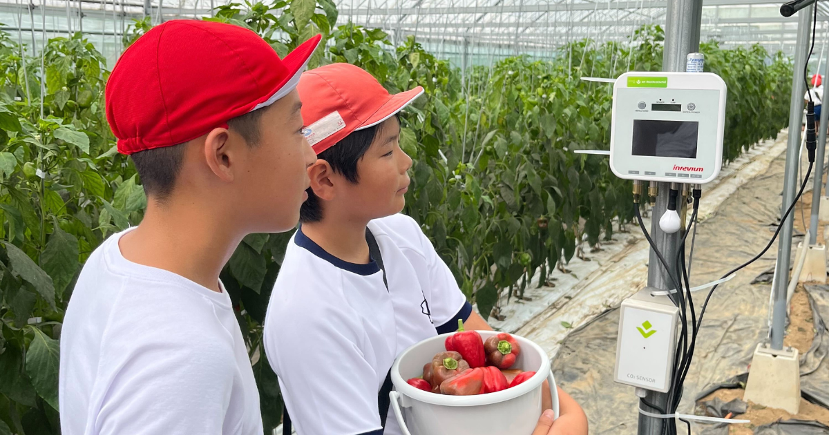 「宇宙の町」南種子町の次なる挑戦 e-kakashiで進める農業の高度化と次世代教育