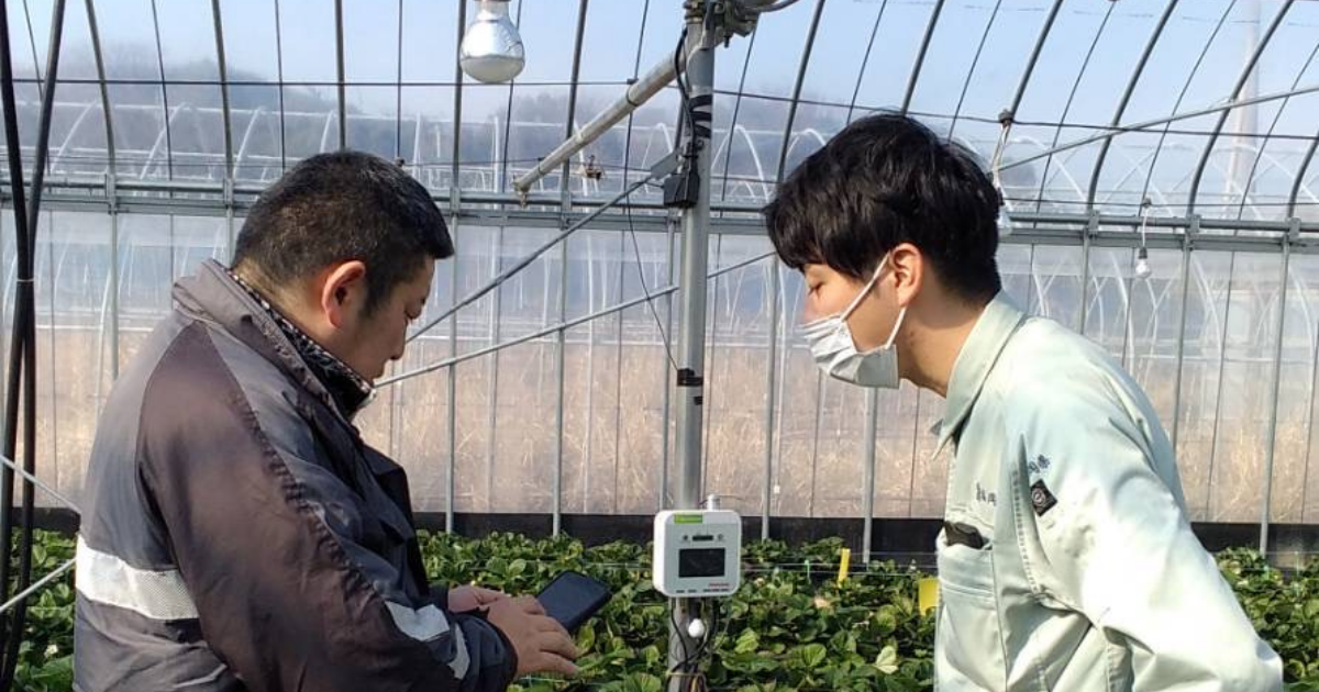 生産量140％増、作業労力も大幅軽減！データ活用による技術継承のかたち