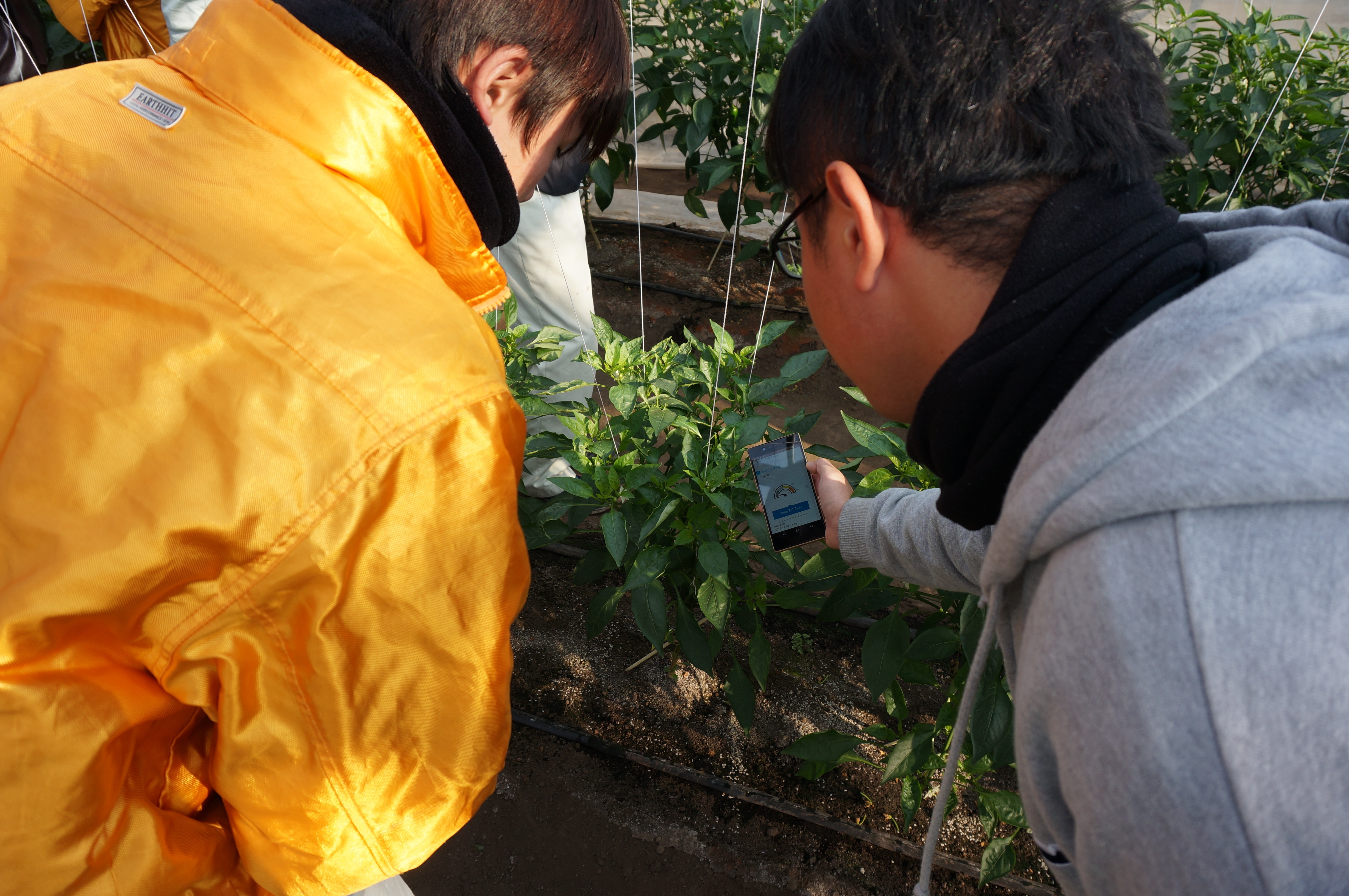 学生たちに「農業が楽しい」と感じてもらえるような教育を そのためにも客観的なデータは欠かせない